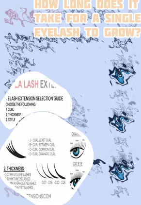 How long does eyelash curling last