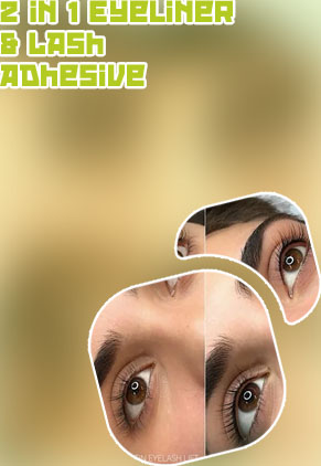 Lash liner